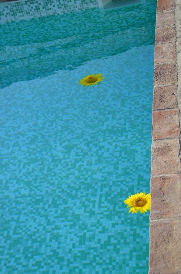 Penzion Agriturismo Il Feudo Grosseto Exteriér fotografie